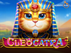 Gaminator casino slot makinesi52